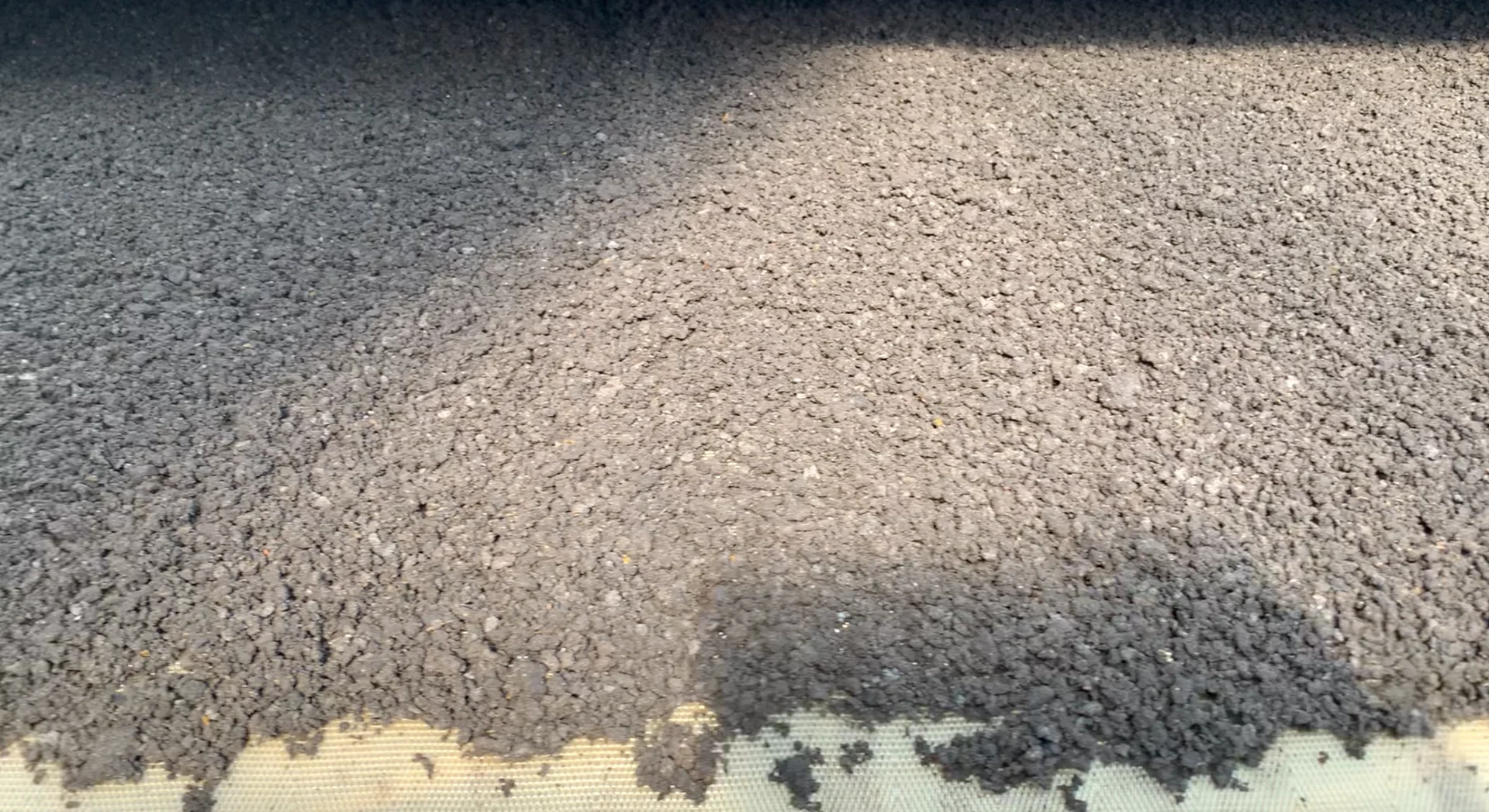 Dried solids on a thermal dryer belt.